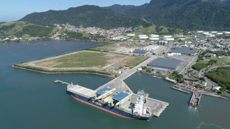Leia mais sobre o artigo Projeto da Infra S.A. para terminal no Porto de São Sebastião (SP) é tema de audiência pública na Câmara dos Deputados
