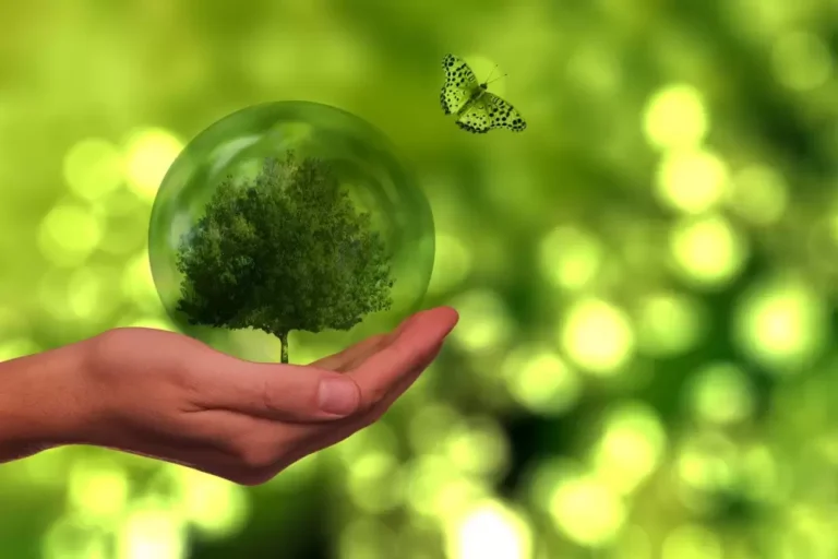 Leia mais sobre o artigo Logística verde no Brasil deve movimentar US$ 61 bilhões até 2030 e ditar tendências em 2025