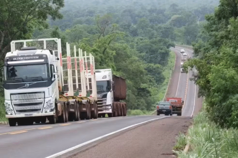 Leia mais sobre o artigo Rota da Celulose: plano emergencial quer recuperar 150 km de rodovias estratégicas para setor em MS