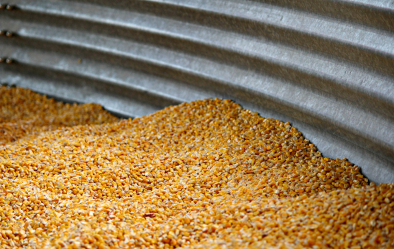 No momento, você está visualizando Custo logístico cai, mas ainda consome 15,5% do PIB