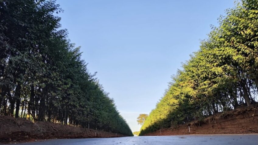 No momento, você está visualizando Investimento de R$ 41 milhões melhora estradas e logística em SP