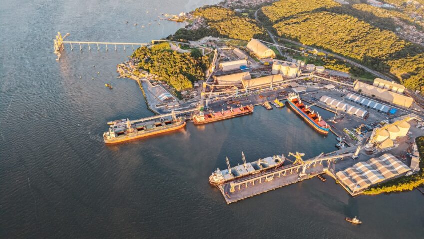 No momento, você está visualizando Como o Porto de São Francisco do Sul uniu logística e recuperação ambiental para vencer prêmio internacional